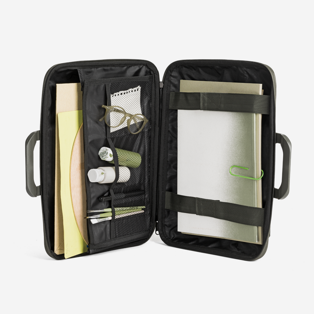 Bombata Shiny Cocco vista aperta